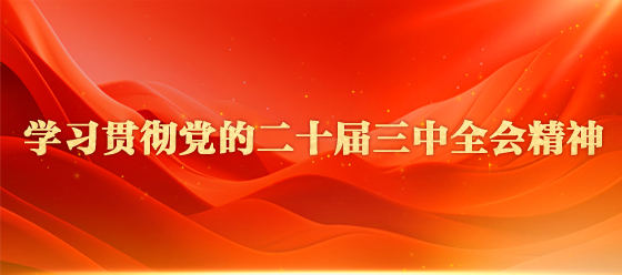 學習貫徹黨的二十屆三中全會精神